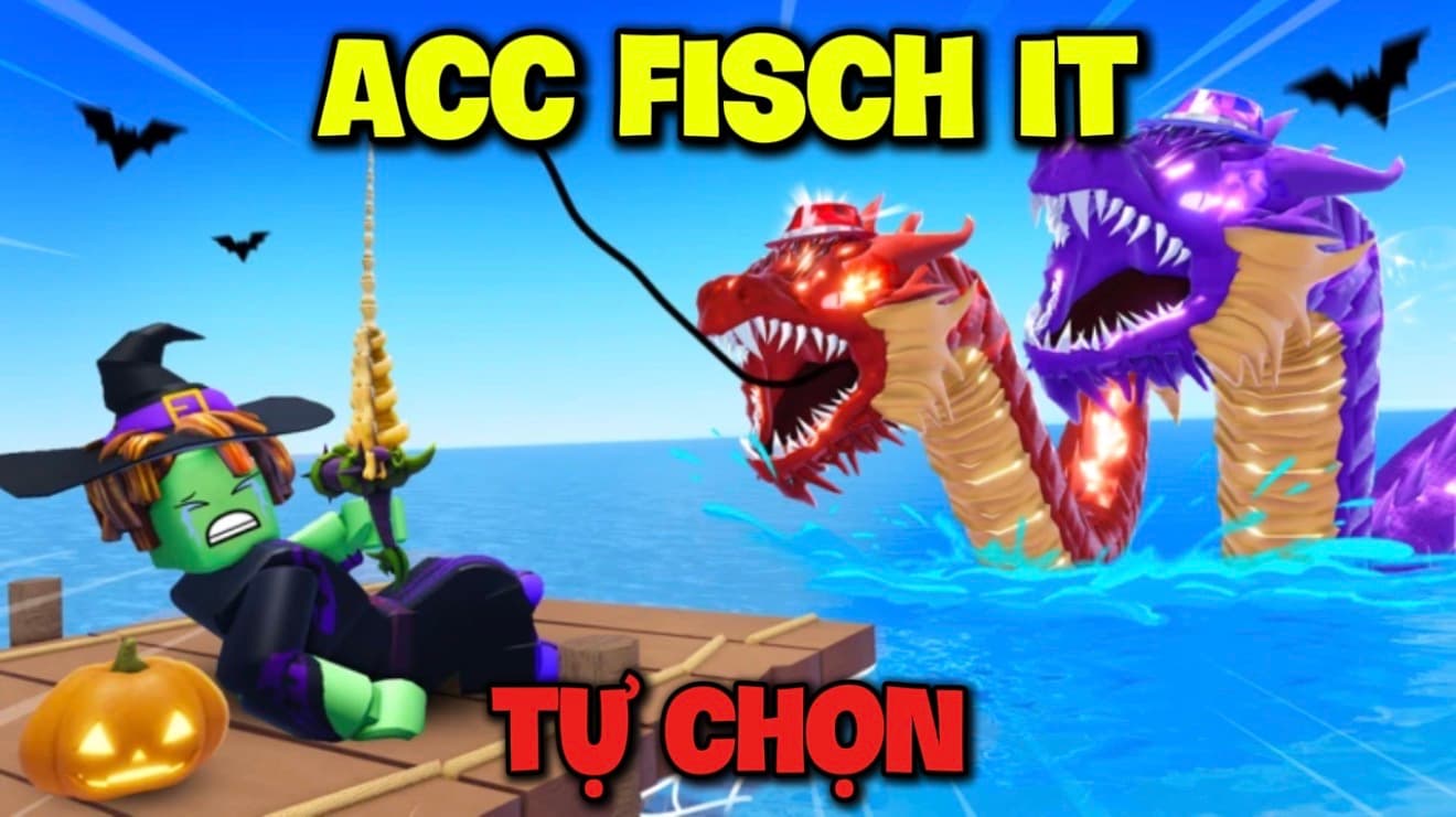 Ảnh minh họa Acc Fisch It Tự Chọn